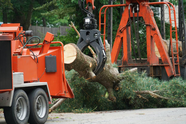 Best Commercial Tree Services  in North Webster, IN